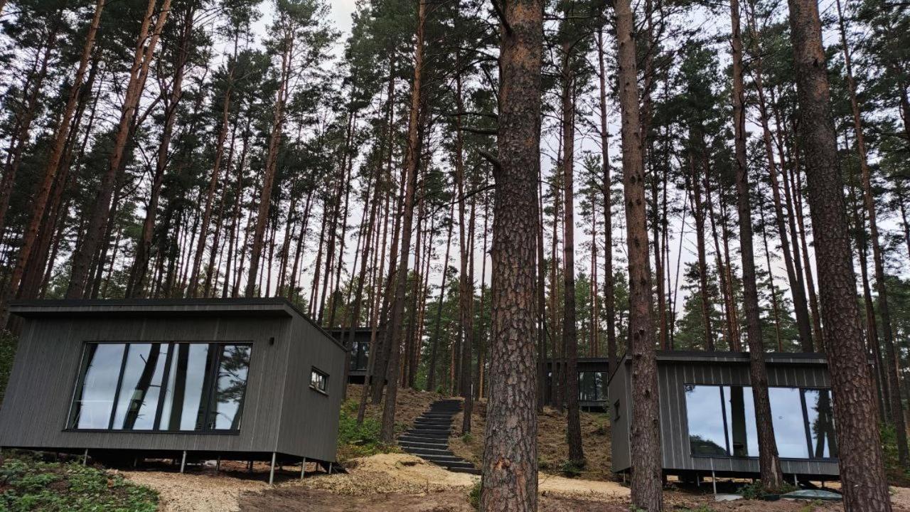 Gaujaclub - Our Bose And Bang&Olufsen Lofts On A Lake Gauja  Kültér fotó