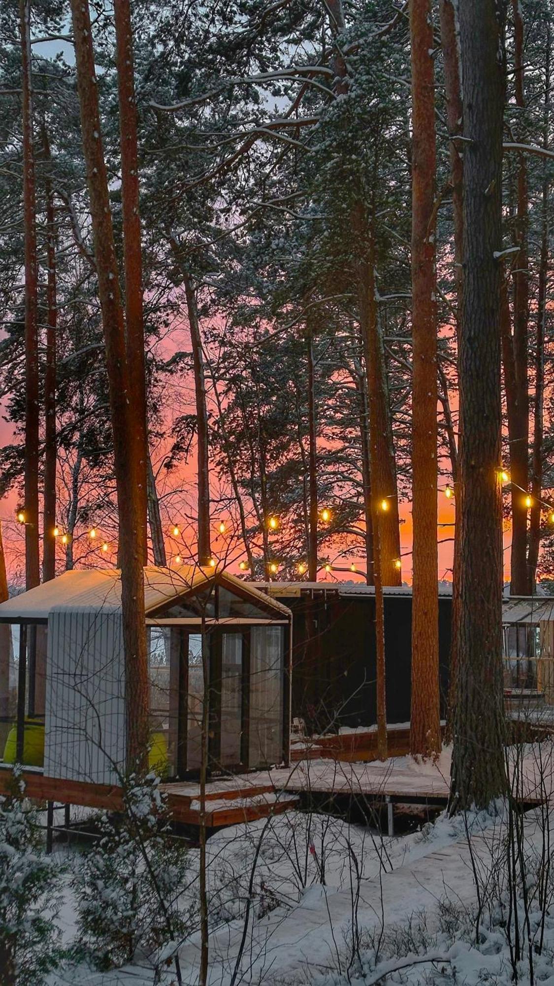 Gaujaclub - Our Bose And Bang&Olufsen Lofts On A Lake Gauja  Kültér fotó